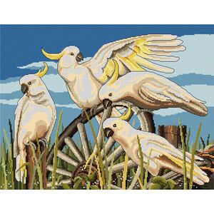 Country Threads Cross Stitch Kit, Cartwheel Cockatoos, 34 x 44cm, 14ct Aida, FJ-1084