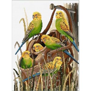 Country Threads BUSH BUDGIES Counted Cross Stitch Kit 26x34cm 