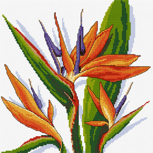 Strelitzia Counted Cross Stitch Chart by Country Threads FJP-104