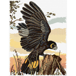 Black Cockatoo Counted Cross Stitch Chart by Country Threads FJP-1066