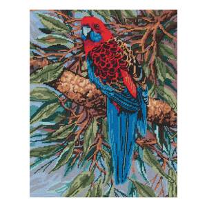 Glo Hill&#39;s CRIMSON ROSELLA Tapestry Design Printed On Canvas GLO.02 Canvas &amp; DMC Soft Cotton (Art.89 Retors Mat)