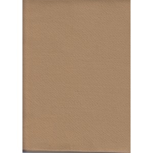Acrylic Felt Rectangles (Squares), Approximately 30 x 25cm, CAMEL, 10 Sheets