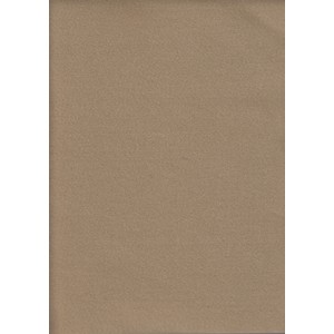 Acrylic Felt Rectangles (Squares), Approximately 30 x 25cm, BEIGE, 10 Pack