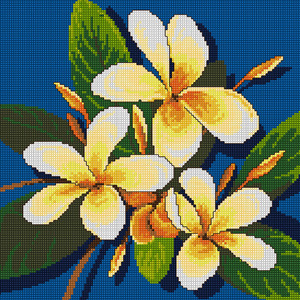 FRANGIPANIS Country Threads Cross Stitch Kit, 25 x 25cm, JJ-102