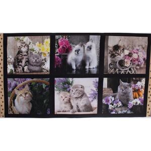 Cute Kittens 0123A 6 Block PANEL 100% Cotton Fabric, per 60cm Panel