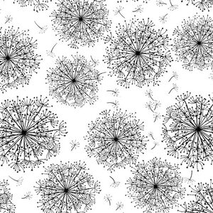 Night &amp; Day Dandelion Black on White, 112cm Wide Quilting Fabric