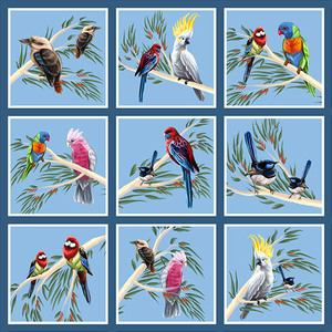 Australian Birds Of The Bush 6&quot; Blocks Sky Blue, 1 set of 9 Blocks only