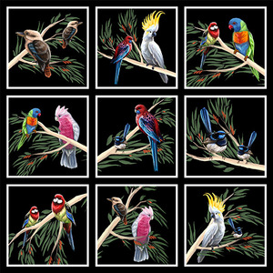 Australian Birds Of The Bush 6&quot; Blocks BLACK, 1 set of 9 Blocks only