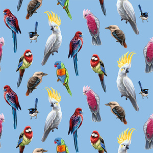 Australian Birds Of The Bush on BLUE, 112cm Wide Cotton Fabric 0158D