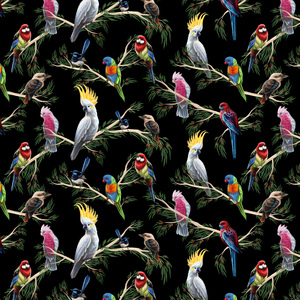 Australian Birds Of The Bush Branches on BLACK, 112cm Wide Cotton Fabric 0158G