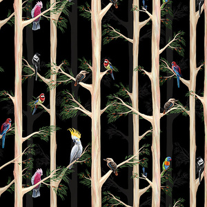 Australian Birds Of The Bush Among the Blue Gums BLACK, 112cm Wide Cotton Fabric 0158M