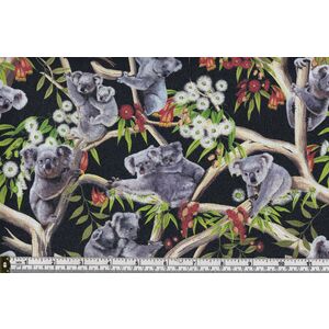 KOALAS In Eucalyptus Trees BLOSSOMS, 112cm Wide Cotton Fabric 9107A