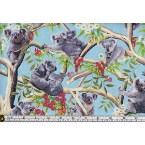 KOALAS In Eucalyptus Trees BLUE, 112cm Wide Cotton Fabric 9107C