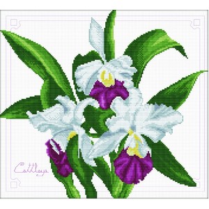 No Count Cross Stitch Kit BOUQUET OF ORCHIDS 33 x 29cm