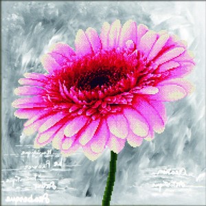 No Count Cross Stitch Kit, PINK DAHLIA, 43 x 43cm  Needleart World