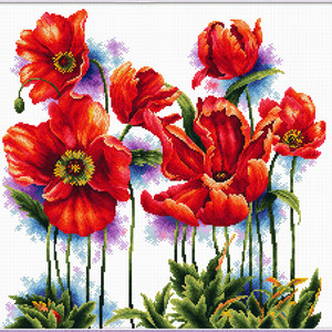 LOVELY POPPIES MC640.069, No Count Cross Stitch Kit, 40 x 40cm
