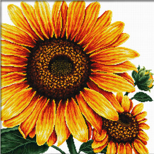 SUNFLOWER MC640.085, No Count Cross Stitch Kit, 40 x 40cm. 14 count Printed aida