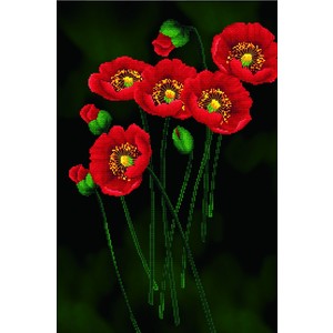 RED POPPIES ON BLACK MC650.011, No Count Cross Stitch Kit, 41 x 62cm