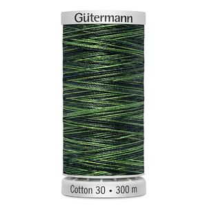 Gutermann Sulky Cotton 30, #4051 VARIEGATED, 300m Embroidery, Quilting Thread