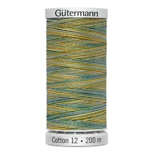 Gutermann Cotton 12, #4013 VARIEGATED, 200m Spool Embroidery Thread