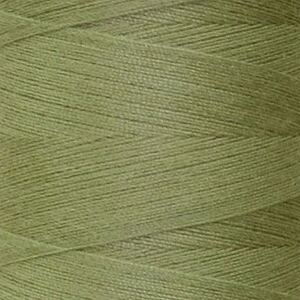 Rasant 120 Thread #0453 LIGHT KHAKI GREEN 5000m, Sewing &amp; Quilting Thread