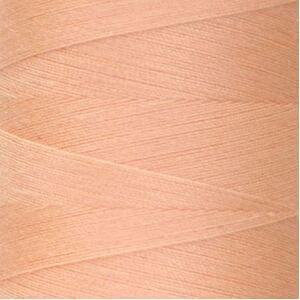Rasant 120 Thread #1111 LIGHT APRICOT PINK 5000m Sewing &amp; Quilting Thread