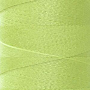 Rasant 120 Thread #X1343 VERY LIGHT MOSS 5000m Sewing &amp; Quilting Thread