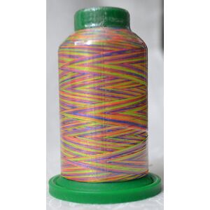 ISACORD 40 #9981 Variegated GLOWING BRIGHTS 1000m Machine Embroidery Sewing Thread