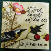 Seagulls Studios Hearts Songs, Wall Plaque, 5&quot; x 5&quot;, 125 x 125mm, EARTH LAUGHS