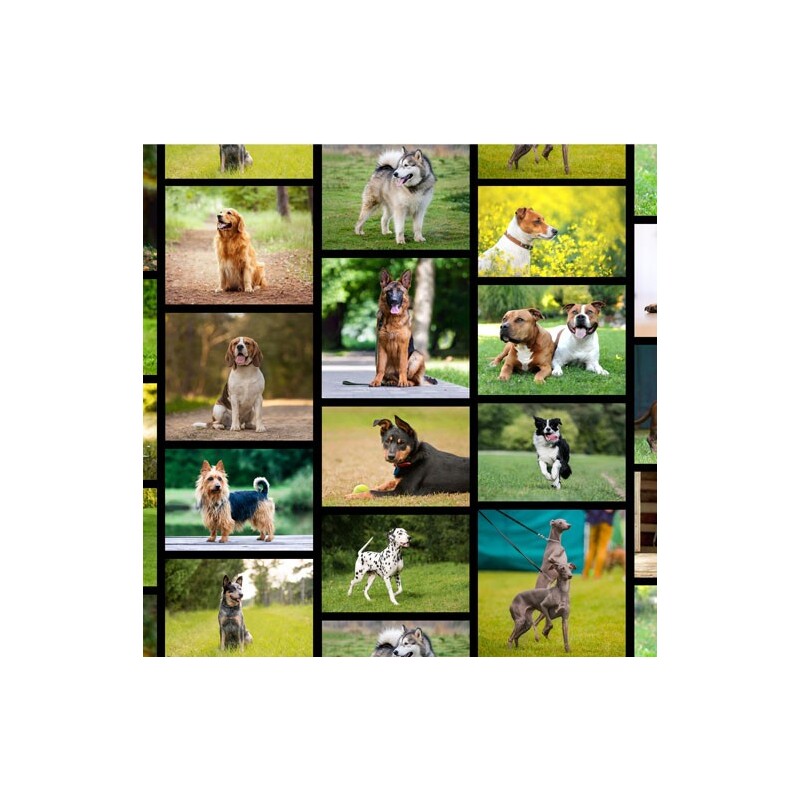 Canine Companions Furry Friends Collage Allover, 112cm Wide Cotton Fabric 1097K