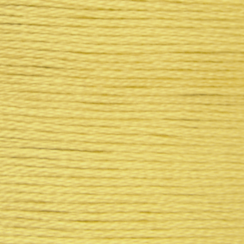DMC Perle (Pearl) 3 Cotton, #834 VERY LIGHT GOLDEN OLIVE, (5g) 15m Skein