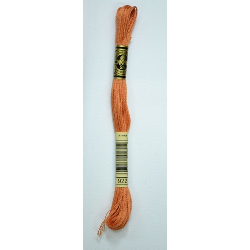 DMC Stranded Cotton #922 Light Copper Hand Embroidery Floss 8m Skein
