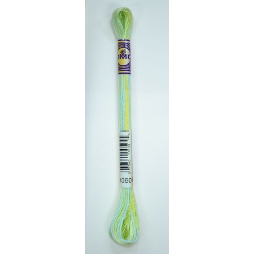 DMC Colour Variations Thread Embroidery Floss, Colour 4060 Weeping Willow