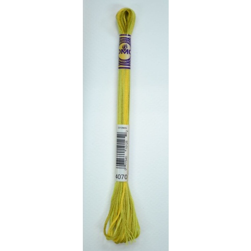 DMC Colour Variations Thread Embroidery Floss, Colour 4070 Autumn Leaves