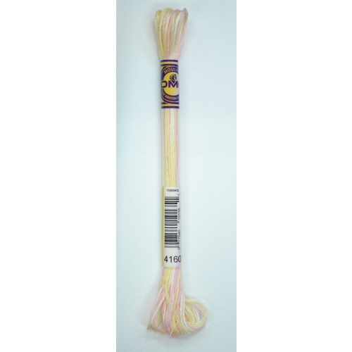 DMC Colour Variations Thread, Colour 4160 GLISTENING PEARL, Embroidery Floss
