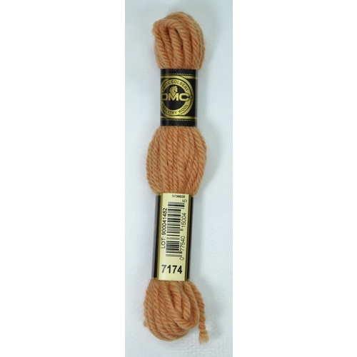 DMC Tapestry Wool #7174 LIGHT TERRA COTTA Laine Colbert wool 8m Skein