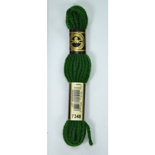 DMC Tapestry Wool #7348 GREEN Laine Colbert wool 8m Skein