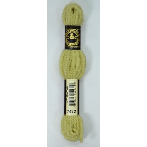 DMC Tapestry Wool #7422 LIGHT KHAKI GREEN Laine Colbert wool 8m Skein