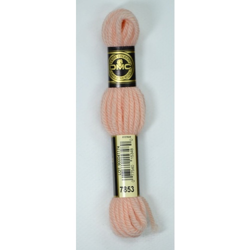 DMC Tapestry Wool #7853 PEACH Laine Colbert wool 8m Skein