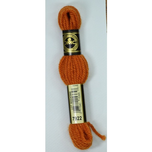 DMC Tapestry Wool #7922 LIGHT COPPER Laine Colbert wool 8m Skein