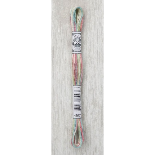 DMC Coloris Thread, Embroidery Floss 8m Multi Colour 4501, FLEURS DES CHAMPS