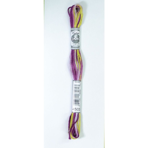 DMC Coloris Thread, Embroidery Floss 8m Multi Colour 4503, GLYCINE