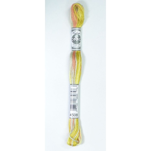 DMC Coloris Thread, Embroidery Floss 8m Multi Colour 4508, CAMPAGNE GIVREE