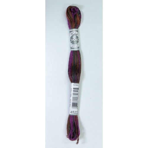 DMC Coloris Thread, Embroidery Floss 8m Multi Colour 4522, NUIT CANADIENNE