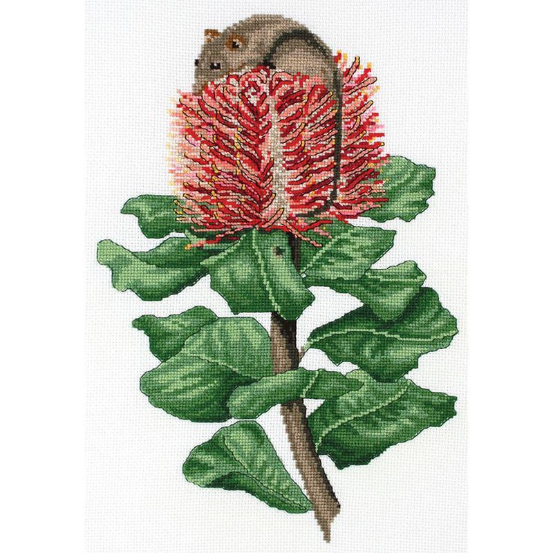 DMC Scarlet Banksia & Honey Possum Cross Stitch Kit 18 x 26cm 16ct Aida, 577101
