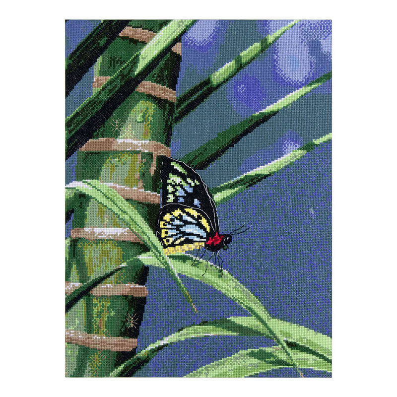 CAIRNS BIRDWING BUTTERFLY Natalie Jane Parker Counted Cross Stitch Kit 30cm x 40cm