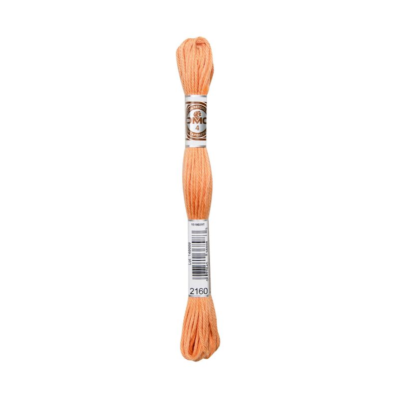 DMC Soft Cotton #2160, 10m Size 4 Matte Tapestry Floss aka Retors Mat
