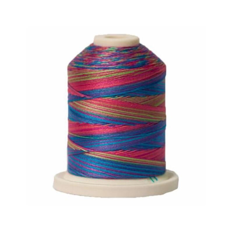 Signature Variegated 40 SM016 Fad 5 Cotton Machine Quilting Thread 700yd