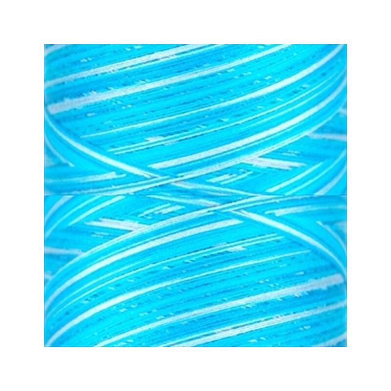 Signature Variegated 40, F258 Dreamy Blues Cotton Machine Quilting Thread  3000yd