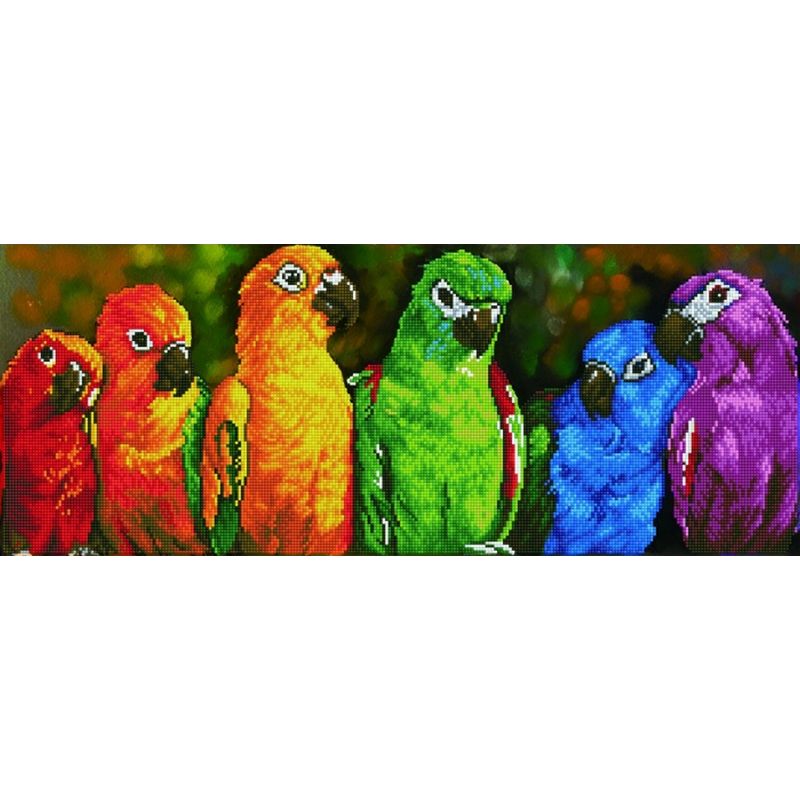 Diamond Dotz RAINBOW PARROTS DD10.025, 5D Multi Faceted Diamond Art Kit